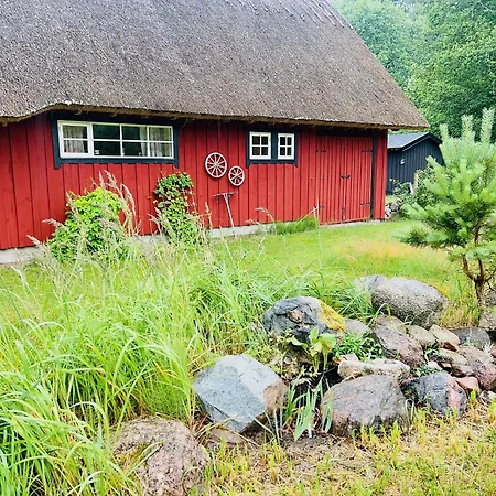 Niiduliiva Dom wakacyjny Nasva (Hiiu)